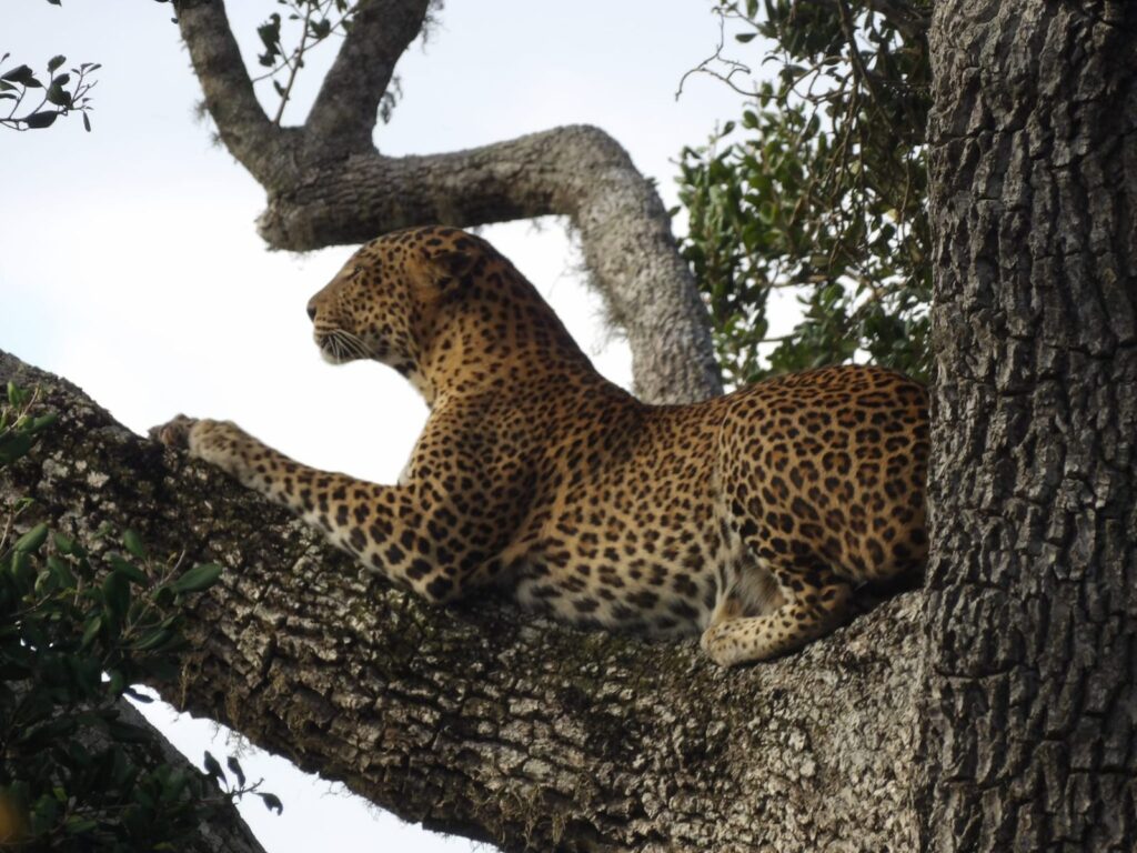 whatsapp image 2025 12 09 at 10.35.15 4d4f4eb9